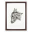 Head of a Donkey by Jean Bernard - Picture Frame Drawing Print-55580125-55580126
