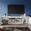 Caelainn High Gloss TV Stand & TV Cabinet, 1 Flip Door, 2 Side Doors, RGB Remote, 15W, Fits 60" TV-816714308-855289538