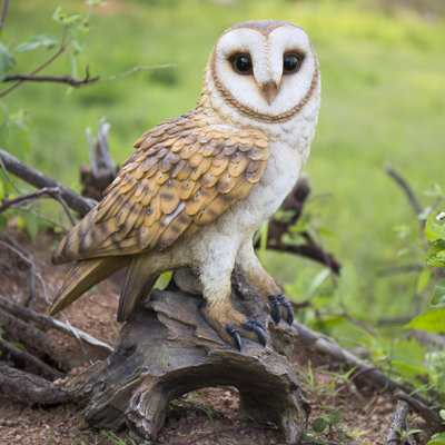 Barn Owl On Branch Statue