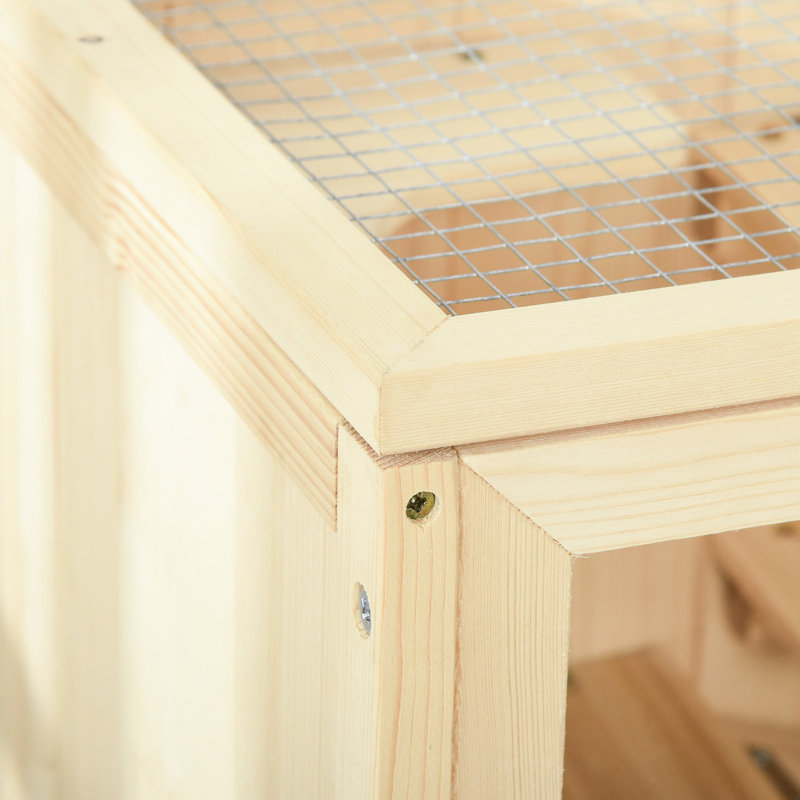 Hamster avec fenêtre - et cage de gerbille en bois naturel visible pour activités multiples