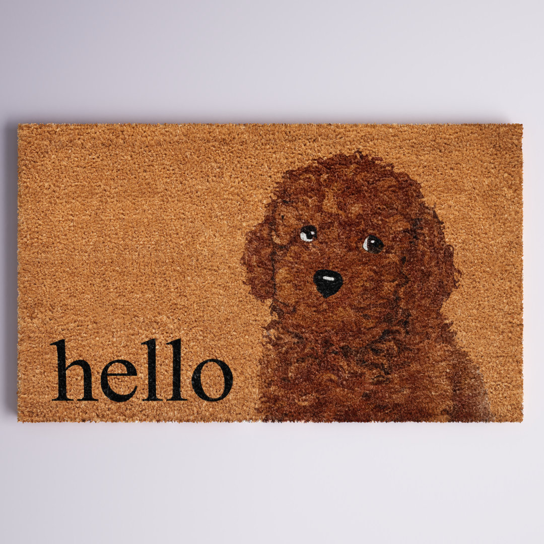 Anna-Lena Non-Slip Outdoor Doormat Lark Manor™
