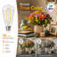 Paquet de 18 ampoules à DEL Edison ST58 E26, 6W 60W, 2700K, blanc chaud, ampoules à filament en verre transparent