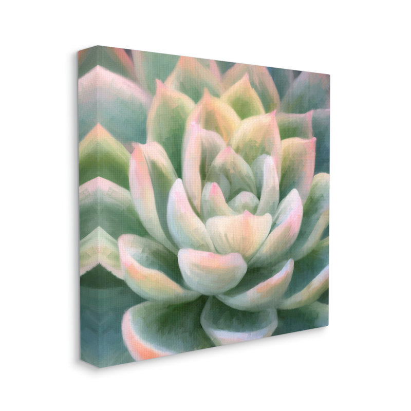 «Green Succulent Petals On Canvas» par Amy Hall, peinture, H 24 po x l 24 po x P 1,5 po, Giclée encadrée noir minuit