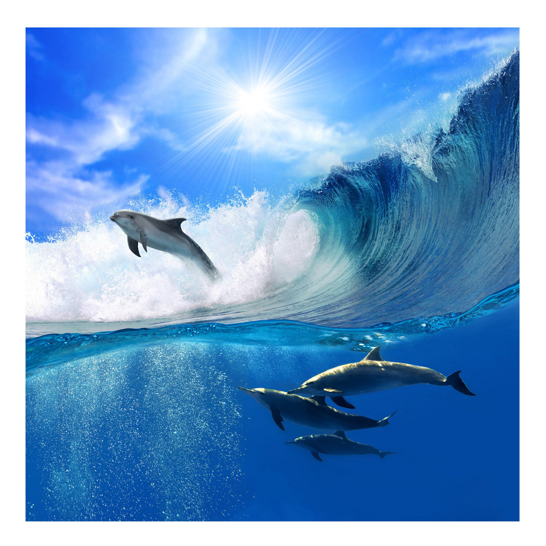 Playing Dolphins 1.92m x 192cm Wallpaper Roll