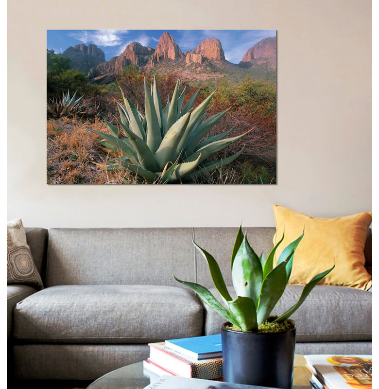 «Chisos Agave and Mountains, Big Bend National Park, Texas II» par Tim Fitzharris, reproduction sur toile tendue sur châssis