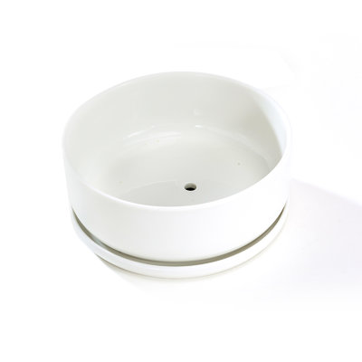 Archie-Jay Ceramic Pot Planter