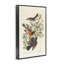 «Classic Audubon Bird Study», art giclée par one1000paintings-111767505-107872990