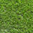 Artificial Grass Turf Rug and Roll-1864881727