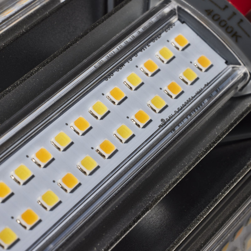 White LED Bulb