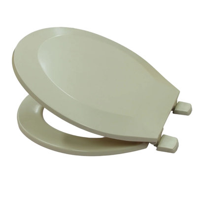 Elongated Toilet Seat
