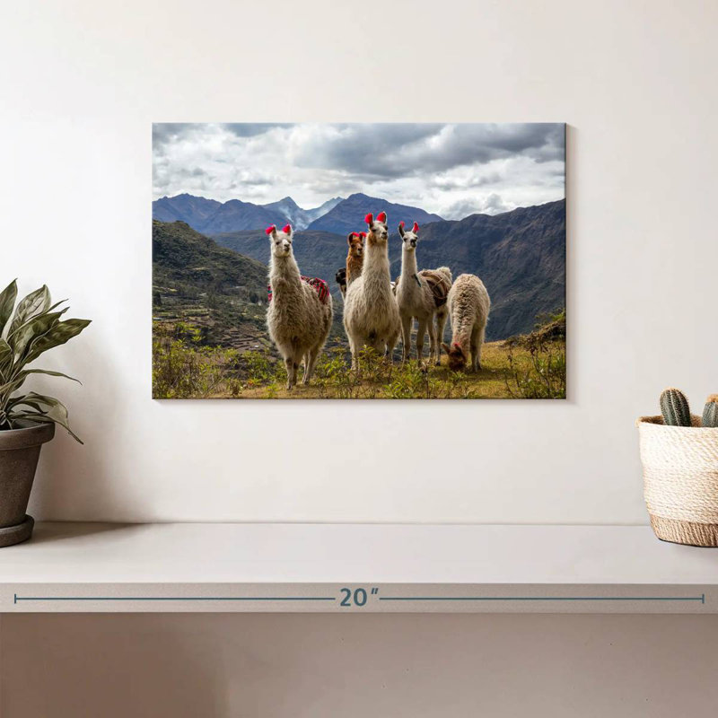 Lares Llamas, 8" H x 12" W