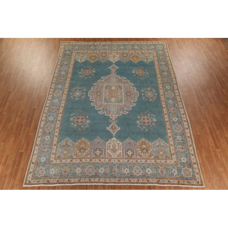 Over-Dyed Traditional Area Rug 10x13
