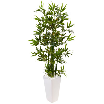 Bamboo Tree in White Tower Planter