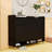 Shoe Cabinet with Adjustable Shelves-1818288241