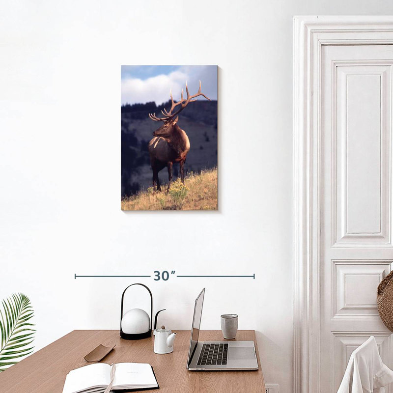 Brampt Montana Bull Elk, 24" H x 16" W