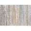 «Aspen Forest 1» par Art Collective, reproduction sur toile tendue sur bois-23991427