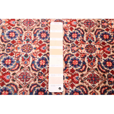 Kayseri Cream Rug 3'5" x 10'5"