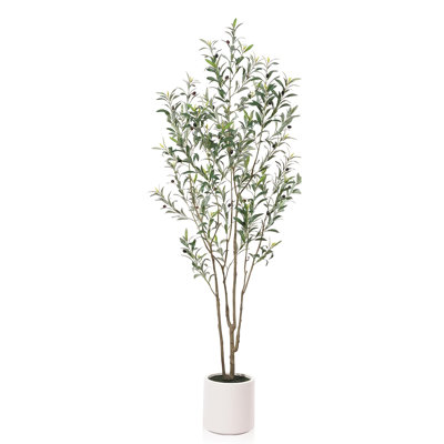 7 ft Artificial Olive Tree in White Planter