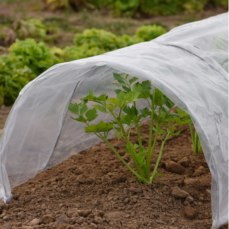 Garden Grow Pvc Greenhouse Tunnel, White