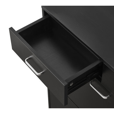 Large Size Shoe Cabinet with 2 Flip Drawers & 2 Drawers, Black