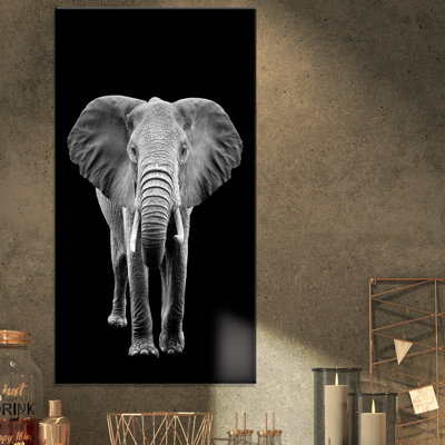 " Elephant On Dark "