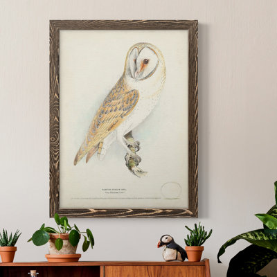 Toile encadrée de qualité supérieure Barn Owl - prête à être accrochée