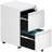 2 Drawer Garage Mobile Storage Cabinet Tool Chest