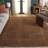 Vintage Overdye Performance Oriental Indoor Rug-117806503
