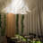 Indoor 100 - Bulb 33.3'' Plug-in LED Fairy String Light-975905650
