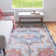 Oriental Indoor Rug