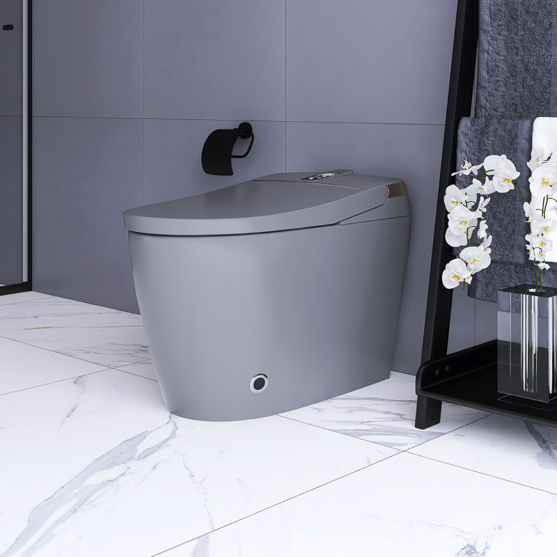 Smart Toilet With Side Control Knob, Gray