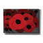Winston Porter 'Beauts Rouges 1' by Art Licencing Studio Canvas Wall Art, 26" x 18"-2069189478