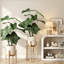 30 po Alocasia artificielle avec pot blanc (ensemble de 2), plante artificielle tropicale réaliste pour la décoration intérieure, le salon, la chambre à coucher et le bureau
