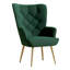 Bastoam 50Cm Wide Tufted Velvet Wingback Chair-2121022495