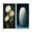 «Cactus Ivory Isolation - Cactus», ensemble de 2 reproductions d'art sur toile-904072666-904072664