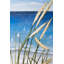 «Oyat Plant and Seaside Print», décor encadré blanc