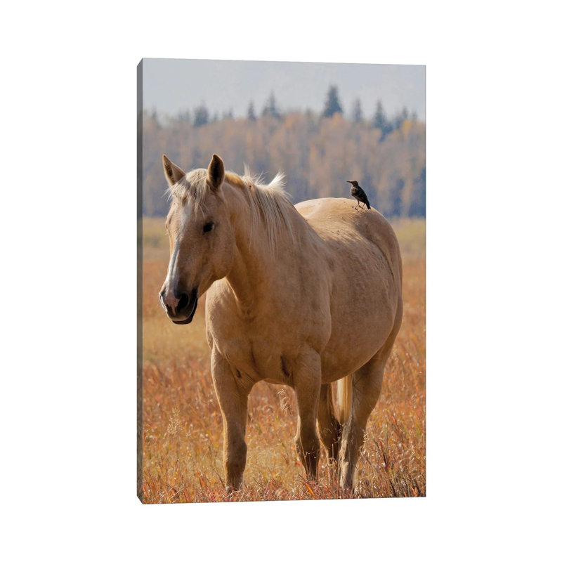 Hitching A Ride I by Susan Vizvary - Wrapped Canvas Print, 66.04 cm H x 45.72 cm W x 1.91 cm D