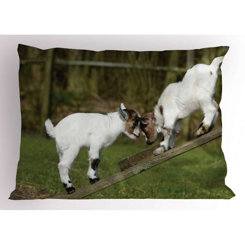 Polyester Sham Set, Twin