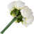 White est en rupture de stock