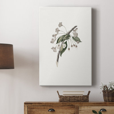 Vintage Floral Print CCVIII -Gallery Wrapped Cavas