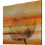Parvez Taj - Wrapped Canvas Print-12845204