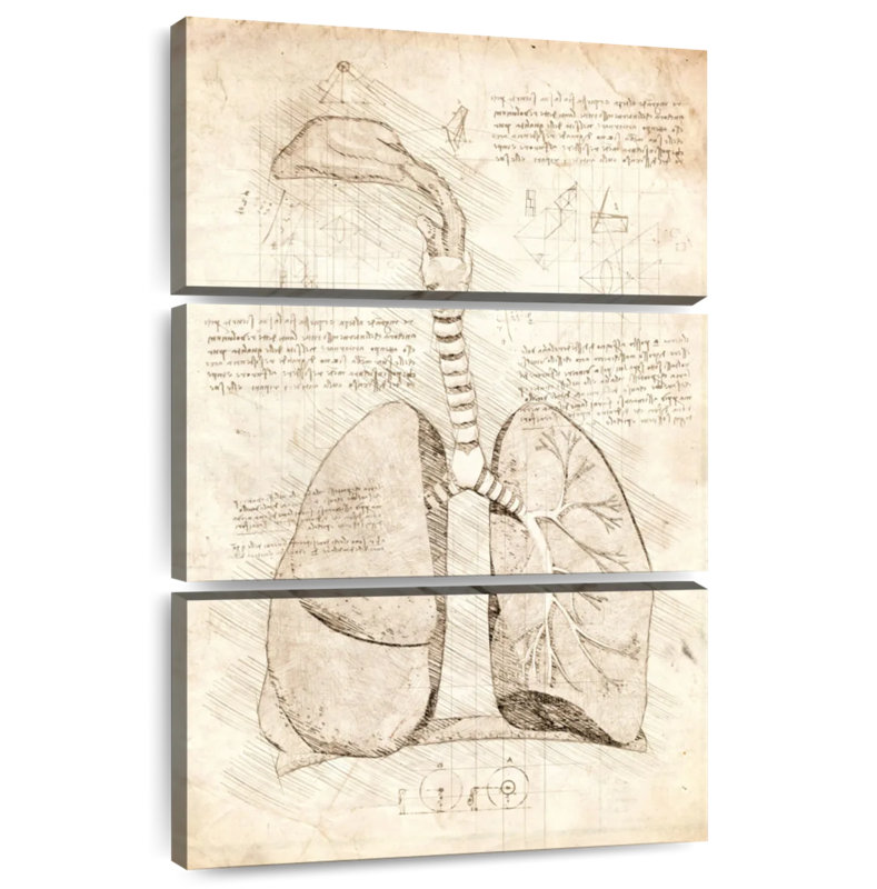 Keiri Human Respiratory System, 32'' H x 20'' W