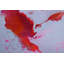 Looking Deeper Original Painting