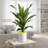 3FT Artificial Dracaena Fragrans (Brazilian Iron Tree) with Vintage White Pot & Yellow Pebbles - Low-Maintenance Faux Plant for Indoor & Outdoor Home Office Decor-404757109