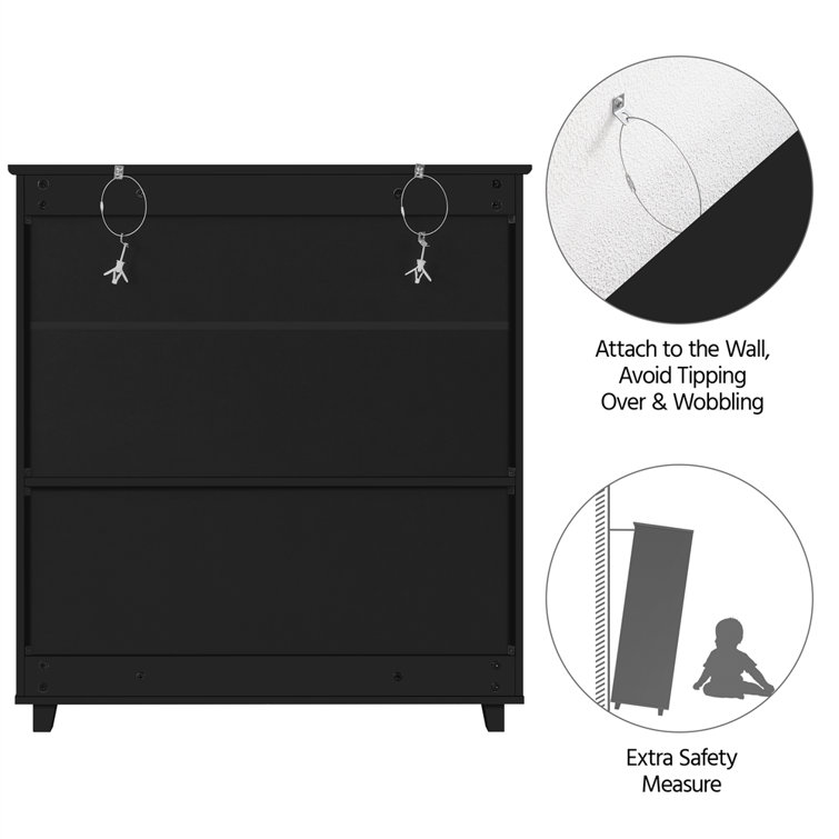 12 Pair Shoe Storage Cabinet Charlton Home Finish: Black