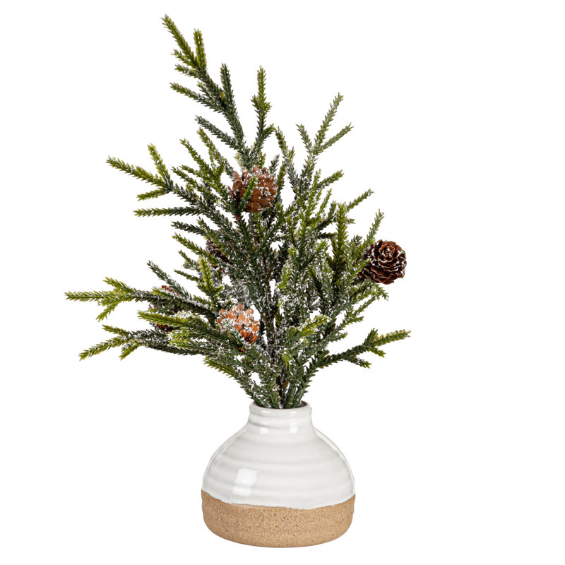 Plante