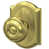 Satin Brass