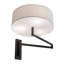 3 - Light Swing Arm