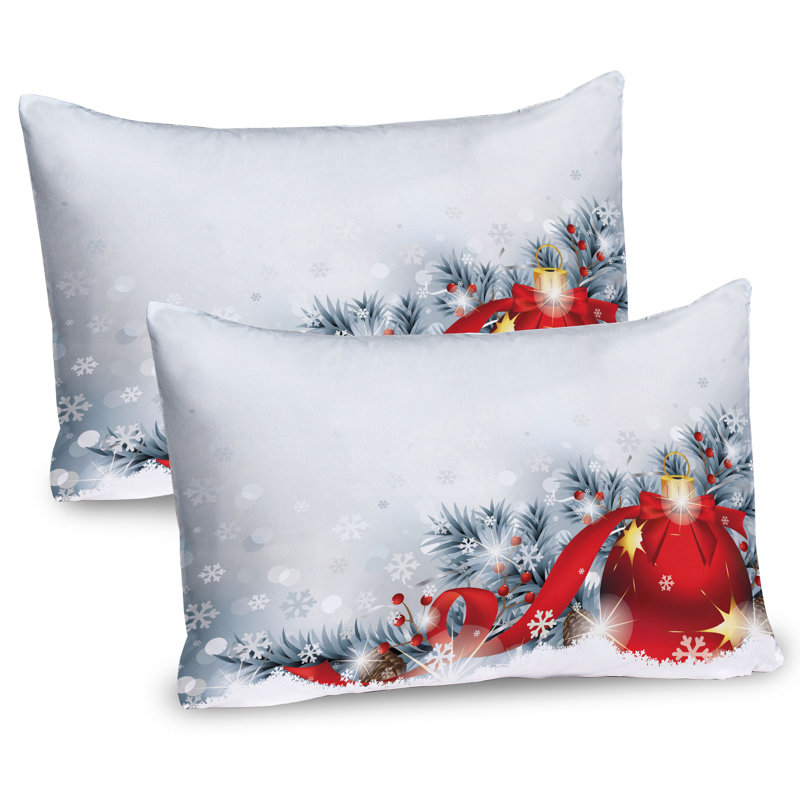 Ensemble de 2 taies décoratives Ambesonne, H 20 po x l 26 po