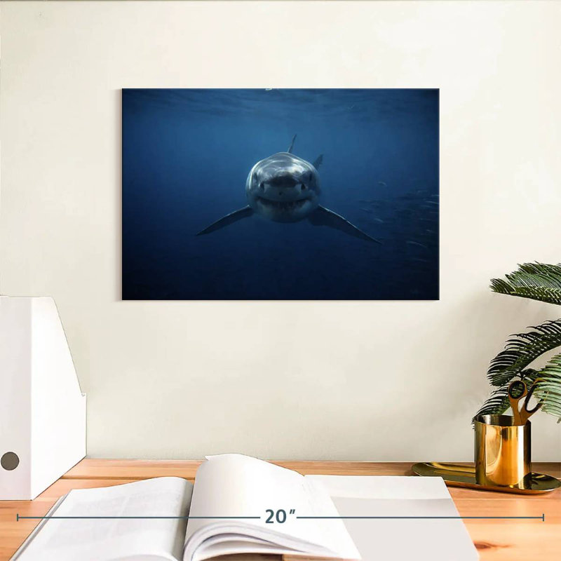 Brampt Shark Stalking, 8" H x 12" W